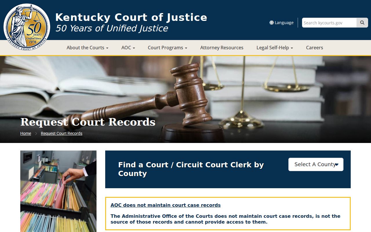 Fulton County criminal court case records official clerk request process